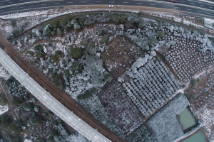 市彭场林场：无人机巡航替代人工测绘