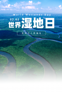 世界湿地日 | 航天宏图PIE-nature科技赋能湿地保护