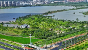 定了！珠海元宵节将举行「大型烟花+无人机」！免费！免门票！