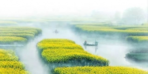 3月22-23日 千垛油菜花会员专享特训营