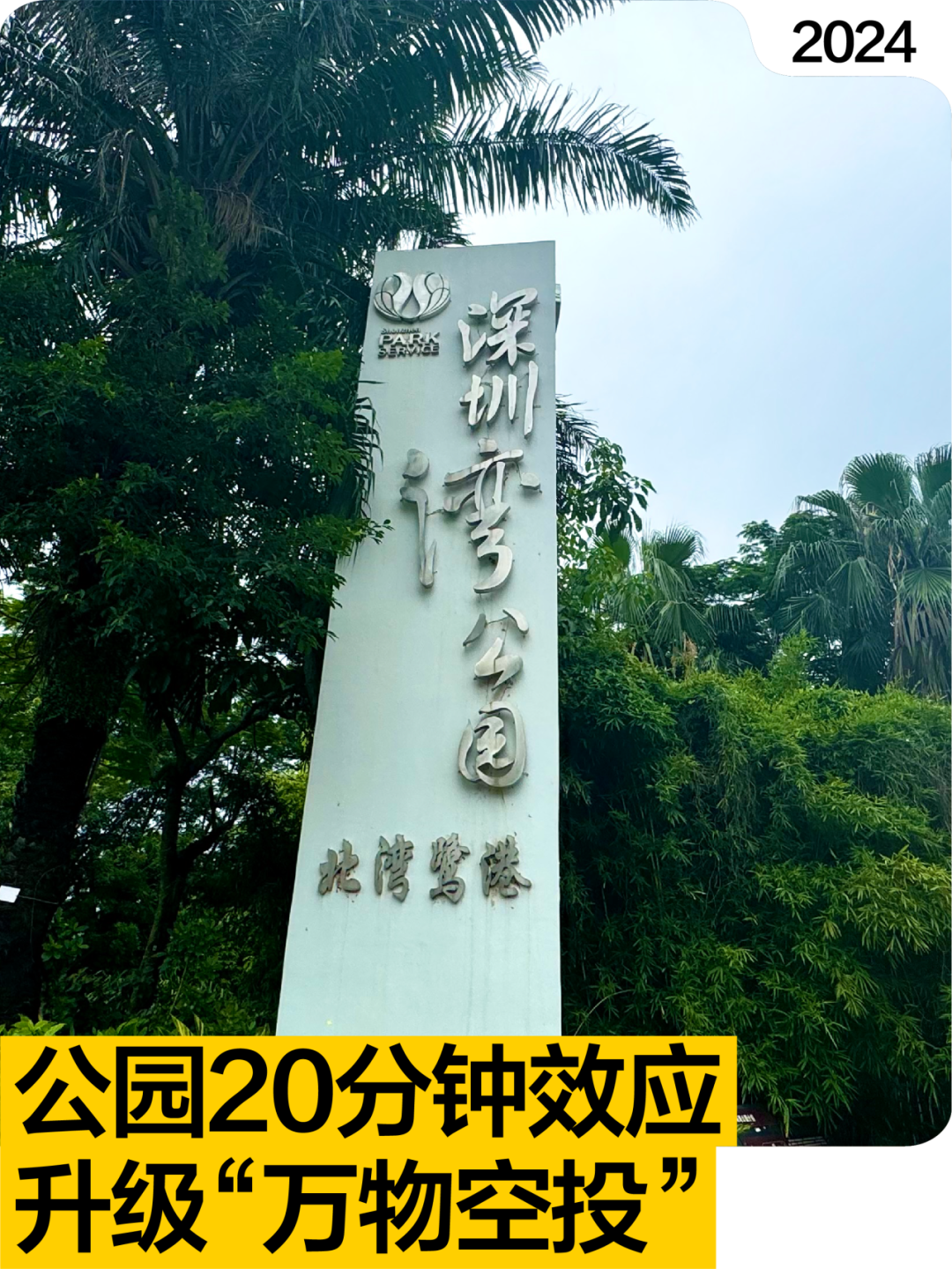 深圳湾公园开通无人机外卖 | 吹着海风迎接“空投”外卖