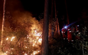 空地协同，应急物资投送 | 卓翼智能多旋翼无人机紧急驰援大兴安岭山火！