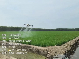 鼎峰无限｜无人机“飞”入田间科技助农保丰收