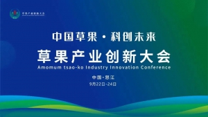 科技入怒，双招双引：旭日蓝天无人机运输助力草果产业腾飞