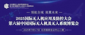 中国低空经济崛起：2025年将成关键转折点，北京引领发展新篇章！