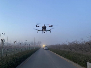 无人机还能防冻害 深州桃园防御晚霜冻害用上“黑科技”