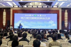 航天宏图亮相第六届中国智慧林业大会：时空智能驱动生态保护修复向绿向新