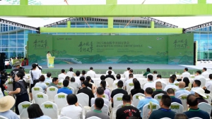 纵横股份构建低空物流网，3分钟完成巫山脆李跨江转运