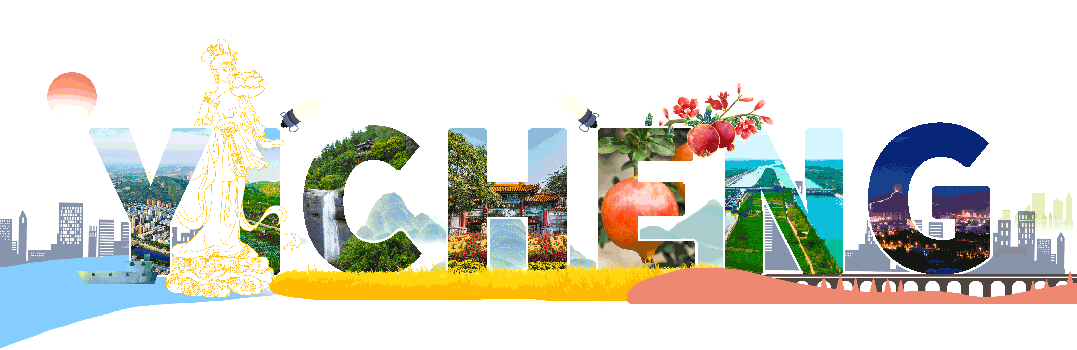 「红火榴乡」无人机“飞防”助力玉米丰产增收