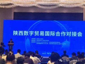 数字丝路 陕耀全球|猎隼航空科技闪耀第四届数贸会，引领航空科技新风尚