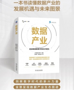 实力认证！中科星图获上海数交所感谢信，权威入选《数据产业》专著