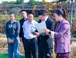调研赋能促发展！龙华区副区长马冰莅临翼飞鸿天考察科技农业与低空场景融合示范项目