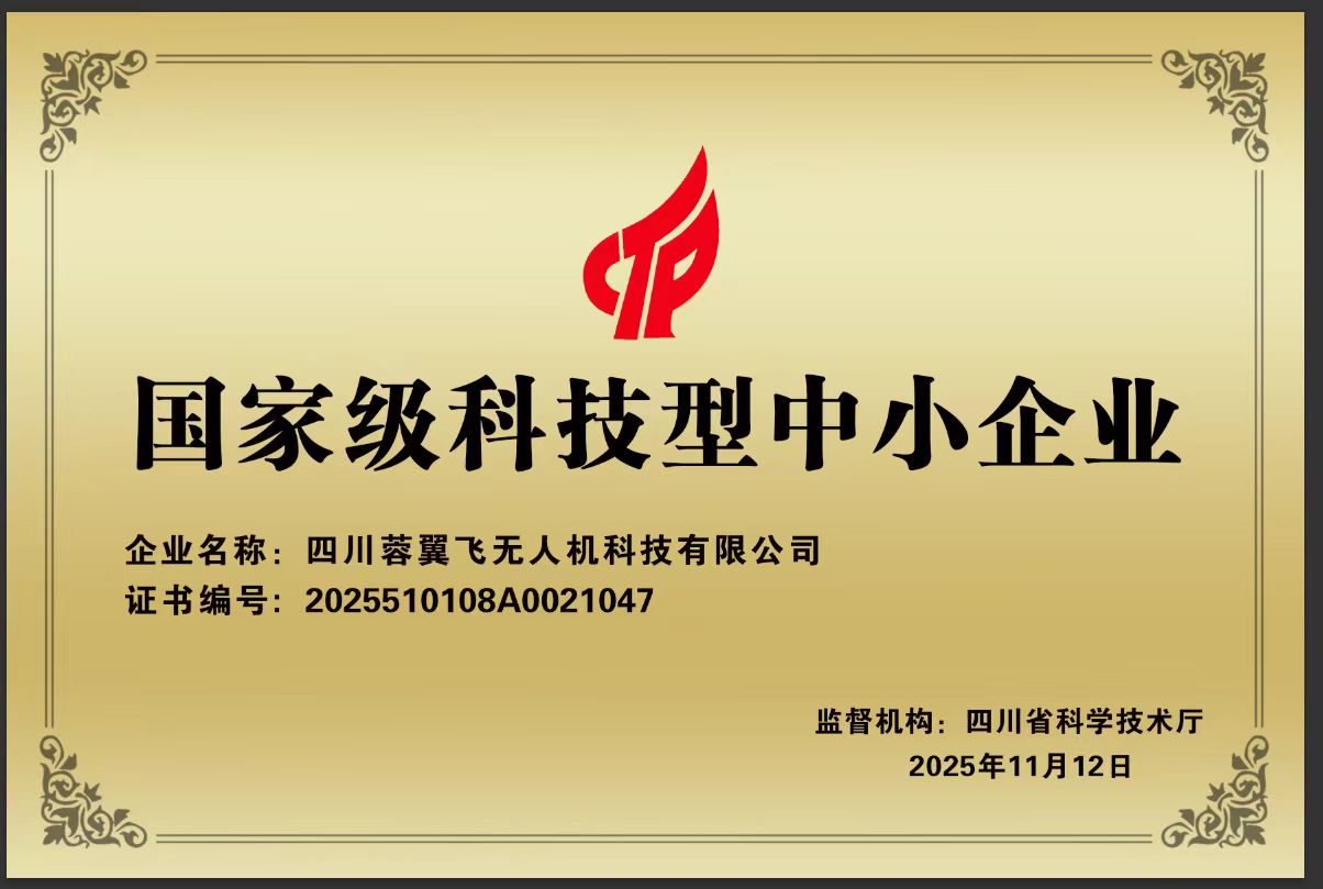 国家级科技型中小型企业