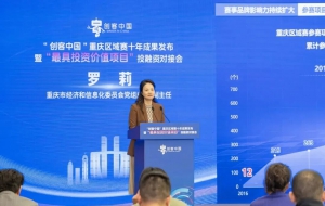 “驼峰”500重载无人直升机获评“最具投资价值项目”