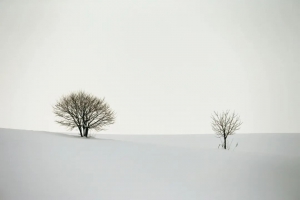 我家有两台无人机，一台是防水的，另一台也是防水的