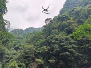 科技赋能林木资源普查 峨眉山启动无人机勘测珍稀植物种群