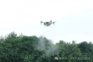 飞手耕耘乡土间 低空产业铺就山乡增收路