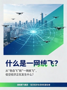 【一网统飞】低空经济的“硬核力量”！