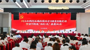 喜报 | 智翔航空党支部荣获留下街道“先进基层党组织”荣誉称号！