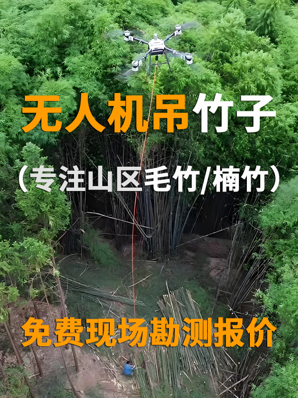 竹子5.jpg
